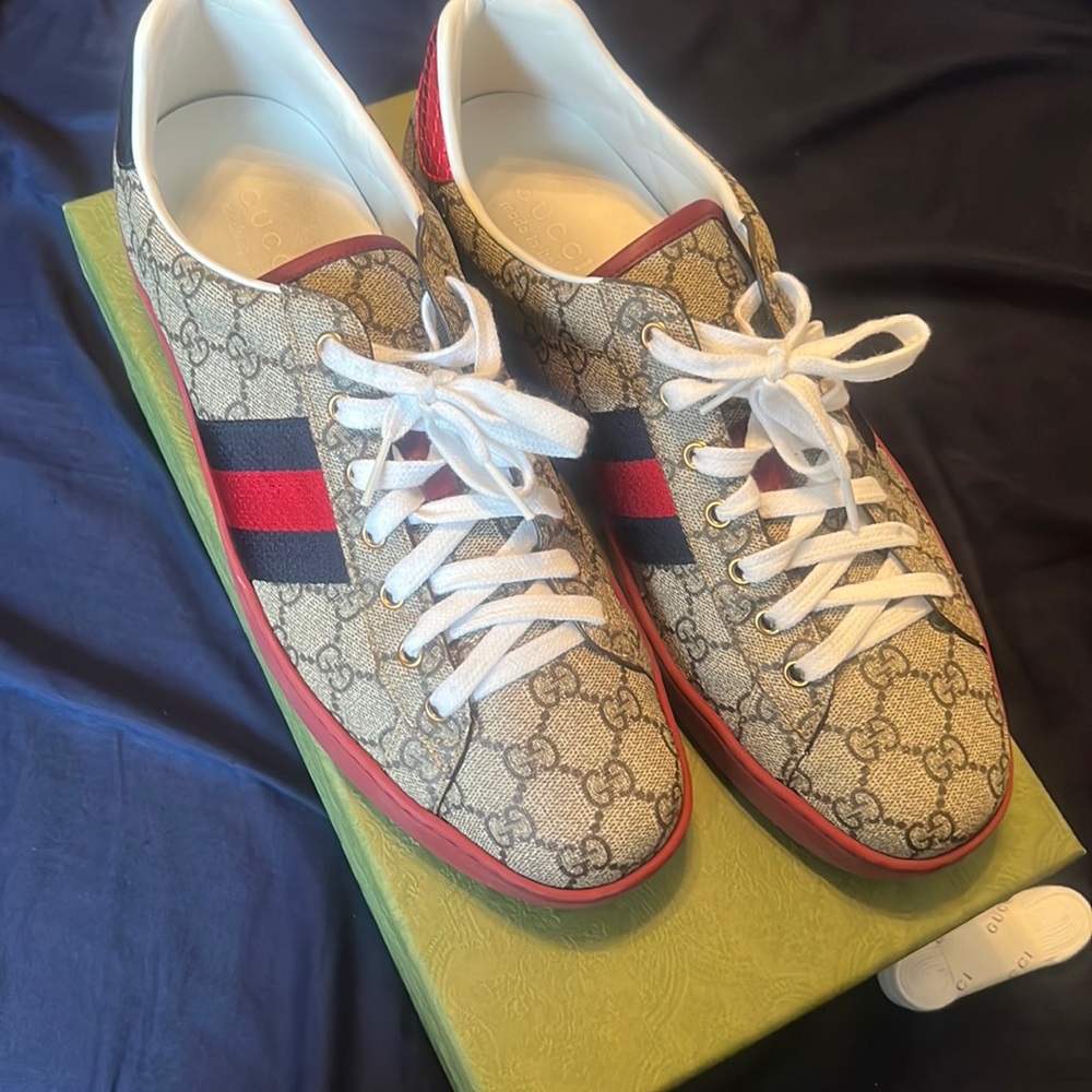 Gucci Ace Low